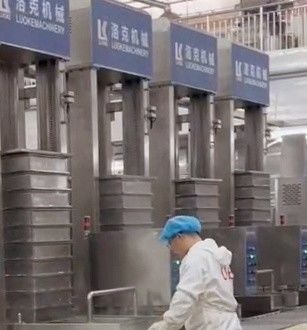 Höchstproduktive 2,2-KW-Vertikalpressmaschine für die industrielle Tofuproduktion
